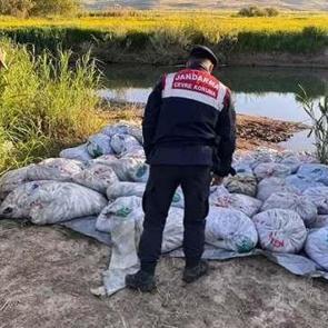 Van'da denetimlerde 22 ton 475 kilogram inci kefali ele geçirildi