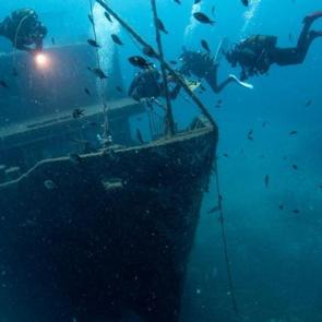 Eşsiz koylar ve su altı yaşamı: Dalış tutkunları bir araya geldi!