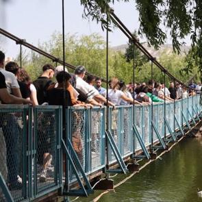 Şehre gelen burada sallanmadan gitmiyor: Ortak noktaları ise aynı