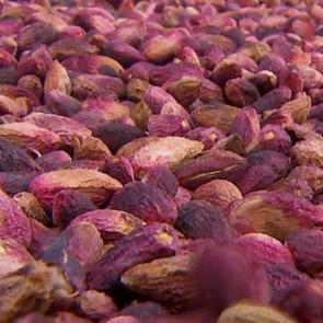 Değerlerin Daveti’nde günün ürünü: Antep Fıstığı