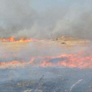 Gaziantep'te anız yangını 4 saatte söndürüldü