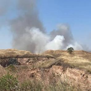 Tekirdağ'da 70 dönüm buğday tarlası yandı