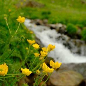 Manzarasıyla Alpleri andırıyor! Bahar renklerine büründü