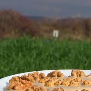 Türkiye’nin zengin mirası canlanıyor: Değerlerin Daveti’nde günün ürünü: Tekirdağ Bulama