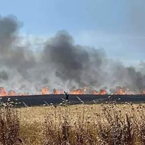 Bursa'da anız yangınında alevler zeytinliğe sıçradı