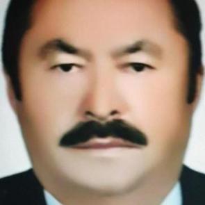 Eski muhtar arı sokması sonucu öldü!