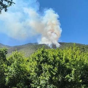 Hatay’da orman yangını
