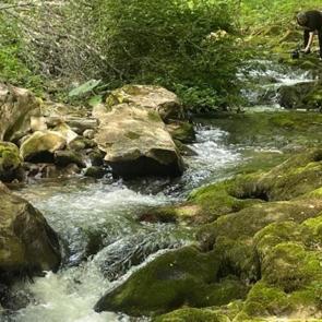 İstanbulluların yeni keşfi: 2 saat mesafede oksijen deposu!