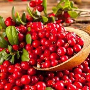 Kandaki CRP oranını düşürüyor, enfeksiyonu temizliyor! Vücuttan toksinleri atıyor