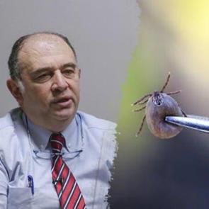 Kırım Kongo Kanamalı Ateşi (KKKA) aşısı için kritik gelişme: Tarih verildi!