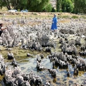 Bunlar kaya değil canlı! Vatandaşlar uyarıldı: Şimdilik 40 metreler