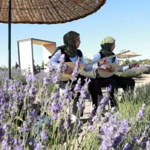 Burası Türkiye’nin en büyük Lavanta Bahçesi: Festival coşkusu başladı