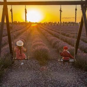 Karatay Lavanta Bah&ccedil;esi kapılarını a&ccedil;tı: Dekoratif alanlar ve manzaralar sizi bekliyor