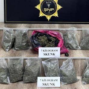Siverek’te 7 kilo skunk ele geçirildi, 3 gözaltı