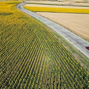 Yollar tabloya dönüştü: Bu rotada seyahat etmek ayrı keyifli!