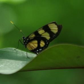 45 farklı tür bu bahçede! 3 milyonu aşkın ziyaretçi ağırladı