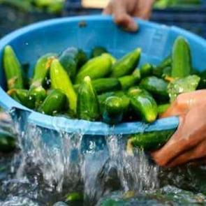 Bu zammın izahı yok! Y&uuml;zde 141 fiyat artışı isyan ettirdi BU işte bir 'HALLER' var