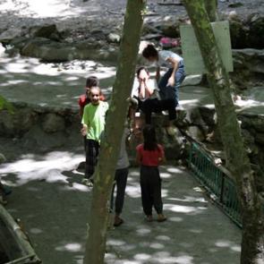 Tabelayı gören şaşırıp kalıyor: Rahatsız olan köylünün güldüren çözümü