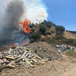 Tarım arazisinde çıkan yangın ormana sıçradı