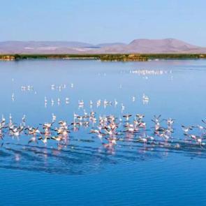Türkiye’nin cennet köşelerinden Eber Gölü: Allı turnalar havadan görüntülendi