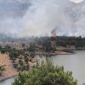 Adıyaman'da orman yangını