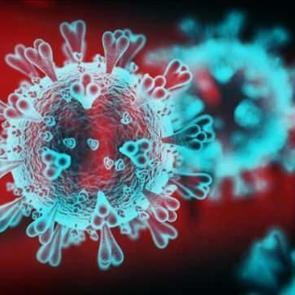 DSÖ'den Chikungunya uyarısı: 5,6 milyar kişi risk altında! Türkiye'de de görüldü