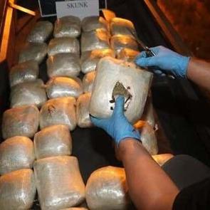 Esenyurt'ta 144 kg skunk ele geçirildi: 5 gözaltı