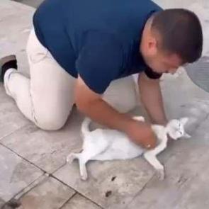 Kediyi, suni teneffüs ve kalp mesajı ile kurtarmaya çalıştı