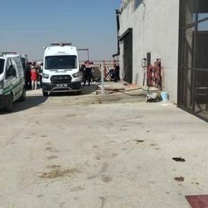Ankara'da besi çiftliğinde metan gazı faciası: Ölüler var!