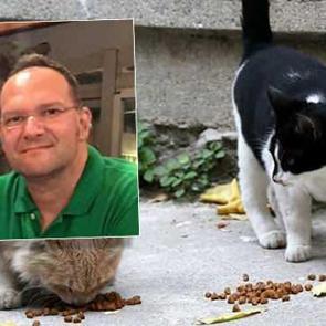 Acı son! Kedi tüyü hayattan kopardı
