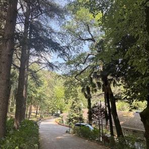 T&uuml;rkiye&rsquo;nin ilk arboretumu: 66 farklı t&uuml;r bir arada!