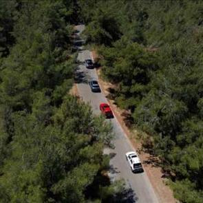 Hyundai, IONIQ ormanı projesi ile 1 milyon ağaç dikti