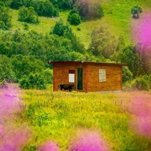 Karadeniz’in güzelliklerinin sonu yok: Burası da Cimil Vadisi