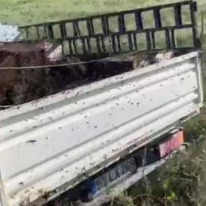 Kovan taşıyan kamyon devrildi! Etrafa binlerce arı yayıldı