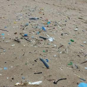 Karadeniz kıyılarının deniz &ccedil;&ouml;p&uuml; haritası &ccedil;ıkarıldı