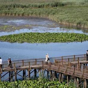 Onlarca tür kuş ve muhteşem manzara: Üstelik büyük şehirlere çok yakın