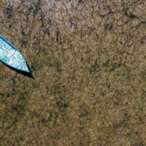 Tekne turları yapılan yerde inekler otluyor: ”Türkiye’nin başı sağ olsun”