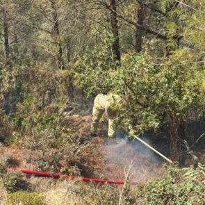 Adana'da orman yangını kontrol altına alındı
