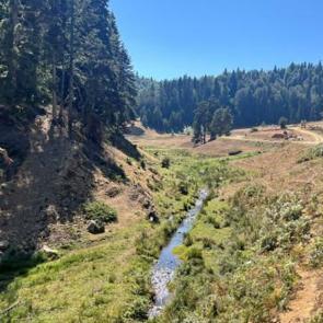 Batı Karadeniz’in incisi: Düzce gezi rehberi
