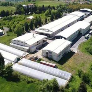 32 senelik k&ouml;kl&uuml; markadan k&ouml;t&uuml; haber: Konkordato ilan etti! &Ouml;d&uuml;l almıştı