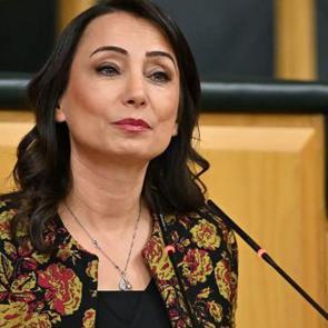 DEM Parti'den açıklama: Suriye ile de yapmak zorundayız