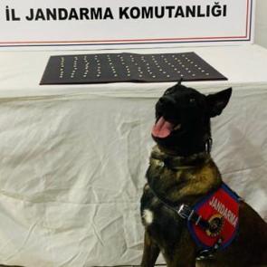 Şanlıurfa'da uyuşturucu operasyonu: 42 gözaltı