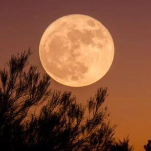 Tam Ay tutulması Rami K&uuml;t&uuml;phanesi'nden izlenecek