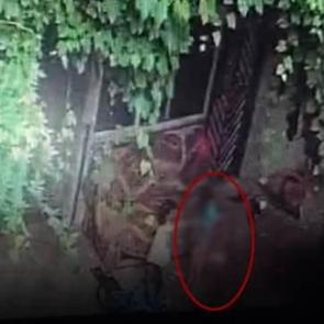 Samsun'da acı olay! Salıncak ipini boynuna dolayan 3 yaşındaki çocuk öldü