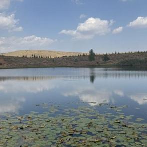 Torosların zirvesindeki g&uuml;zellikler: Serin sular, nil&uuml;ferler ve dahası&hellip;