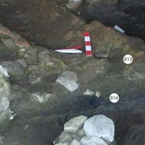 Zonguldak’ta bulunması şaşırtmadı: 5 bin yıl önce şifa bulmak için yemişler