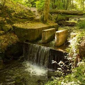 B&uuml;y&uuml;k şehirlerden sıkılan buraya ka&ccedil;ıyor: Huzur ve macera bir arada