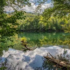 Muhteşem manzaraların mevsimi geldi: Yedigöller Milli Parkı ziyaretçilerin gözdesi