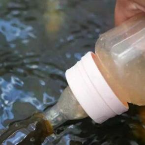 Türkiye’de daha ilginç bir aktivite yok! Biberonla besledikleri canlı şaşırttı