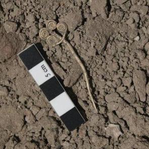 Bakan duyurdu: Son 100 yılın  en &ouml;nemli buluntuları! D&uuml;nyada bilinen 3 &ouml;rnekten en iyisi..